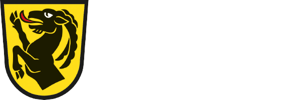 demo